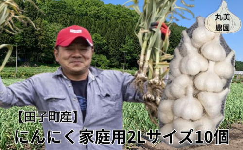 丸美農園 田子産にんにく家庭用2Lサイズ 10個 2138622 - 青森県田子町