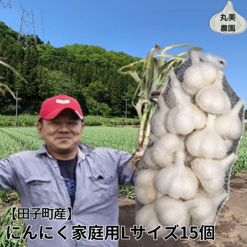 丸美農園 田子産にんにく家庭用Lサイズ 15個 2138623 - 青森県田子町