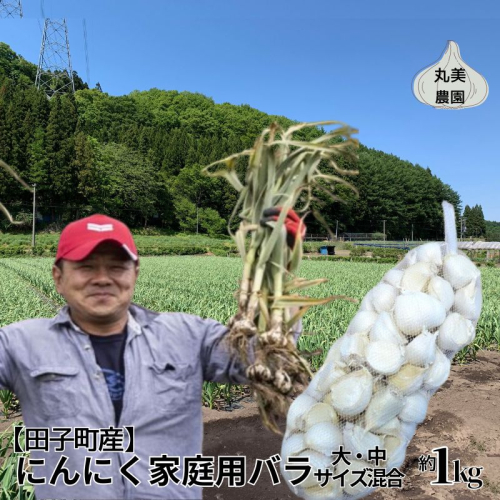 丸美農園 田子町産にんにく家庭用バラ約1kg（大・中サイズ混合） 2138625 - 青森県田子町