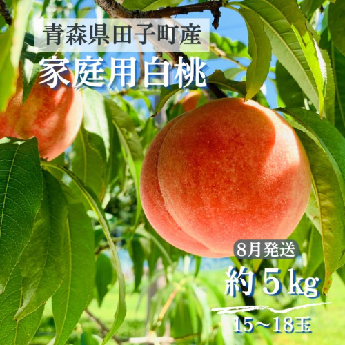 田子の家庭用白桃 約5kg(15~18玉) 8月出荷 2138627 - 青森県田子町