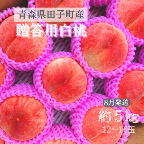 【贈答用】 田子町産白桃 約5kg(12~16玉) 8月出荷 2138628 - 青森県田子町