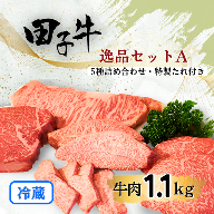 幻の田子牛 逸品セットA/牛肉1.1kg　（特製タレ付）
