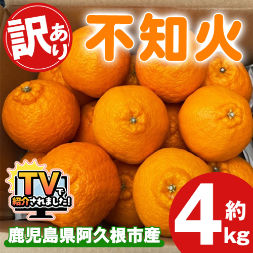 ＜先行予約受付中！2026年3月上旬以降順次発送予定＞訳あり！露地栽培の不知火(4kg：大将季) 国産 不知火 しらぬい 柑橘 果物 フルーツ デザート 露地 果実 期間限定 数量限定 【古田果樹園】akn093-07 2138640 - 鹿児島県阿久根市