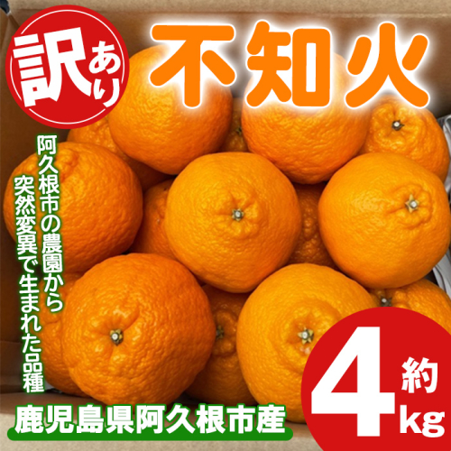 ＜先行予約受付中！2026年3月上旬以降順次発送予定＞訳あり！露地栽培の不知火(4kg：大将季) 国産 不知火 しらぬい 柑橘 果物 フルーツ デザート 露地 果実 期間限定 数量限定 【古田果樹園】akn093-07 2138640 - 鹿児島県阿久根市