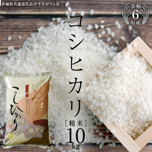 【令和6年産】 コシヒカリ 精米 10kg ( 10kg × 1袋 ) (茨城県共通返礼品 かすみがうら市) 米 ごはん もっちり 甘い コメ お米 白米 [EX009sa] 2138641 - 茨城県桜川市