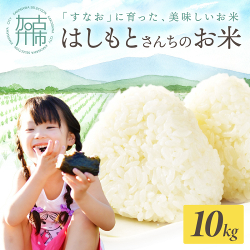 【令和7年産 2025年11月より順次発送】はしもとさんちのお米(10kg)《 お米 米 ヒノヒカリ 精米 お米10kg お米10キロ ごはん ご飯 》【2503B14302】 2138658 - 兵庫県加古川市