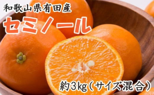［濃厚オレンジ］和歌山有田産セミノール約3kg(サイズ混合 秀品)★2026年4月中旬頃より順次発送［TM212］ 2138660 - 和歌山県那智勝浦町