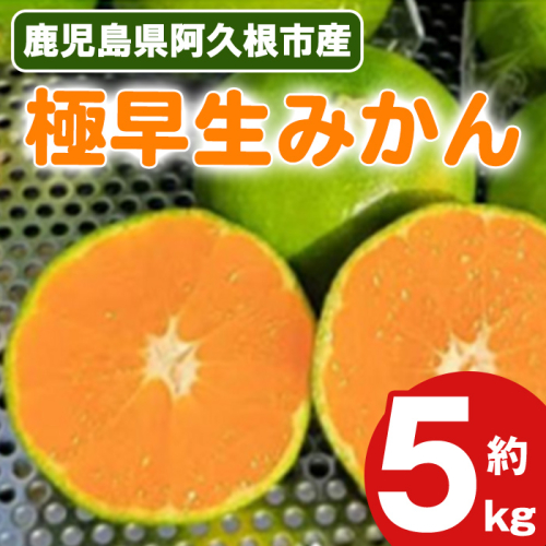 ＜先行予約受付中！2025年9月上旬以降順次発送予定＞極早生みかん(5kg) 国産 みかん 極早生 早生 柑橘 果物 フルーツ デザート 果実 期間限定 数量限定 【古田果樹園】akn093-06 2138684 - 鹿児島県阿久根市