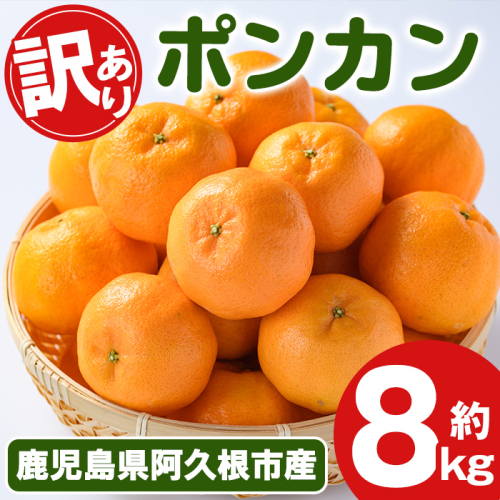 ＜先行予約受付中！2025年12月下旬以降順次発送予定＞訳あり！ポンカン(約8kg) 国産 ポンカン 柑橘 果物 フルーツ デザート 果実 期間限定 数量限定【古田果樹園】akn093-05 2138685 - 鹿児島県阿久根市