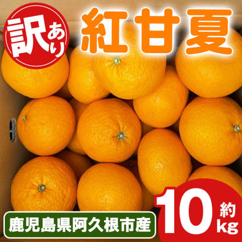 <先行予約受付中!2026年2月上旬以降順次発送予定>訳あり!紅甘夏(10kg) 国産 紅甘夏 柑橘 果物 フルーツ デザート 果実 期間限定 数量限定 【古田果樹園】akn093-04 2138686 - 鹿児島県阿久根市