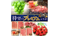 【ふるさと納税】　選べる　プレミアムコラボ【2回】【4回】定期便C定期便C 果物 果実 肉 お肉 牛肉 セット 詰め合わせ 食べ比べ 定期 定期便 切り落とし モモ 肩ロース スライス いちご シャインマスカット 送料無料 バーベキュー   シャインマスカット
