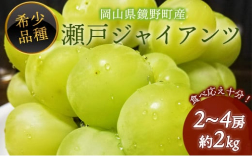 【期間限定】鏡野町産 瀬戸ジャイアンツ 2kg（2～4房） 2139101 - 岡山県鏡野町