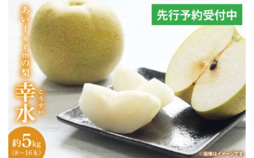 【先行予約】【数量限定】あい farm の梨 幸水 5kg (8～16玉) | 8月中旬より順次発送 梨 なし フルーツ 果物 新鮮 旬 梨園 益子町産 (DQ001) 2139146 - 栃木県益子町