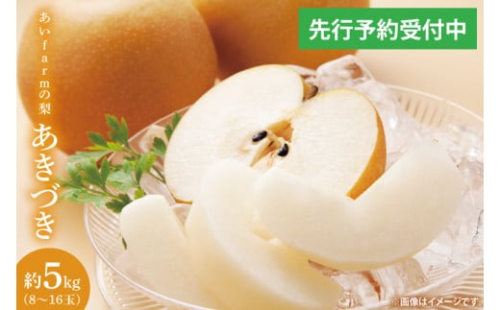 【先行予約】【数量限定】あい farm の梨 あきづき 5kg (8～16玉) | 9月下旬より順次発送 梨 なし フルーツ 果物 新鮮 旬 梨園 益子町産 (DQ003) 2139148 - 栃木県益子町