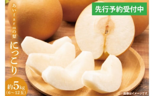【先行予約】【数量限定】あい farm の梨 にっこり 5kg (6～12玉) | 10月中旬より順次発送 梨 なし フルーツ 果物 新鮮 旬 梨園 益子町産 (DQ004) 2139149 - 栃木県益子町