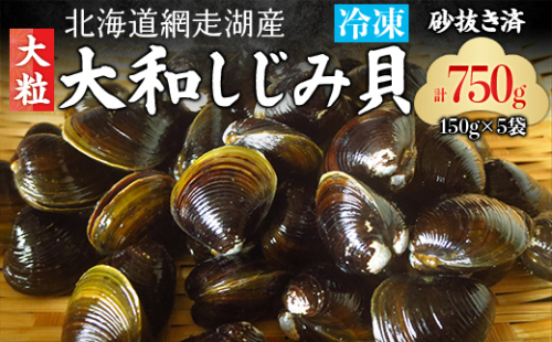網走湖産「大和しじみ貝」750g(150g×5) ABC035 2139200 - 北海道網走市