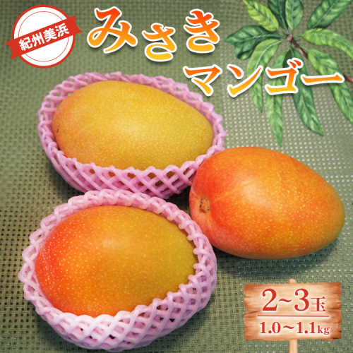 紀州美浜みさきマンゴー2～3玉（1.0～1.1kg）
※離島への配送不可
※2025年7月下旬～9月上旬頃に順次発送予定 2139269 - 和歌山県美浜町