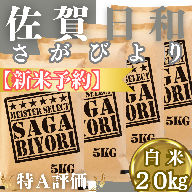 CIC25_『新米予約』令和７年産『さがびより』白米20kg(５kg×４袋)　※新米収穫後11月以降発送