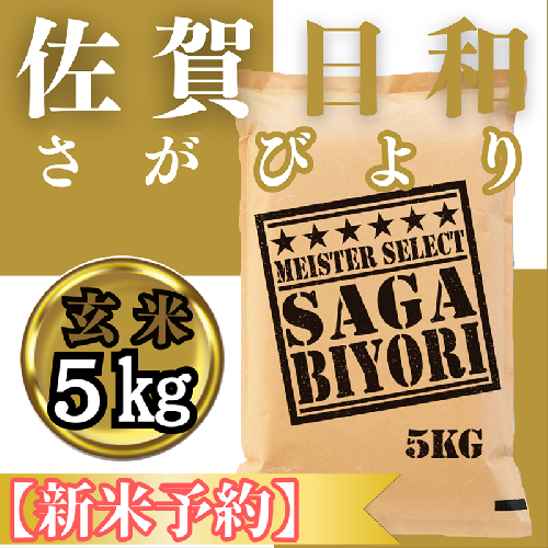 CIC29_『新米予約』令和７年産　さがびより【玄米】５kg　※新米収穫後11月以降発送 2139462 - 佐賀県みやき町