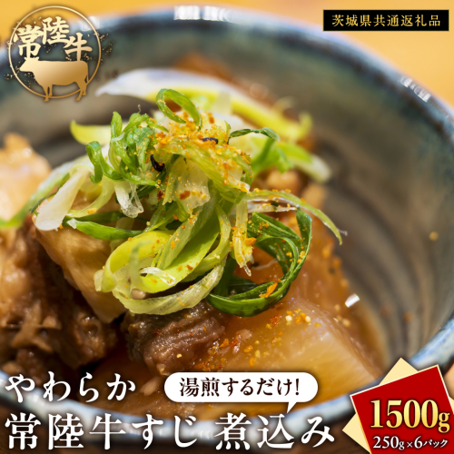 やわらか 常陸牛 すじ 煮込み 250g × 6パック (計 1500g )【茨城県共通返礼品】 牛すじ 牛肉 肉 和牛 にく 牛すじ肉 2139549 - 茨城県牛久市