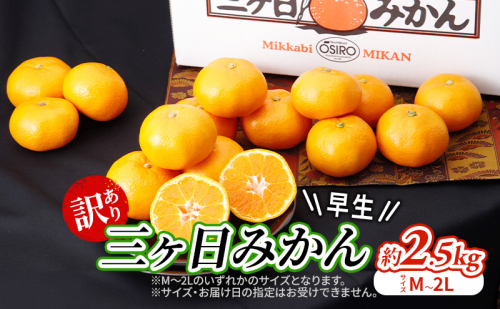 【2025年11月中旬より順次発送】『訳あり』 三ヶ日みかん 早生 2.5kg みかん ミカン 果物 柑橘 フルーツ 訳あり 静岡 浜松市 2139720 - 静岡県浜松市