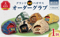 硬式用グランドペガサスオーダーグラブ_05058