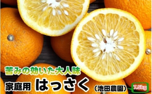 はっさく 7.5kg+250g（痛み補償分） 家庭用 光センサー【ikd021-c-7d5A】 2139941 - 和歌山県広川町