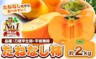 たねなし柿（刀根早生柿・平核無柿）約2kg《2025年9月中旬-11月上旬頃出荷(土日祝除く)》 和歌山県 岩出市 種なし柿 柿 果物 フルーツ 2L～Mサイズ カキ