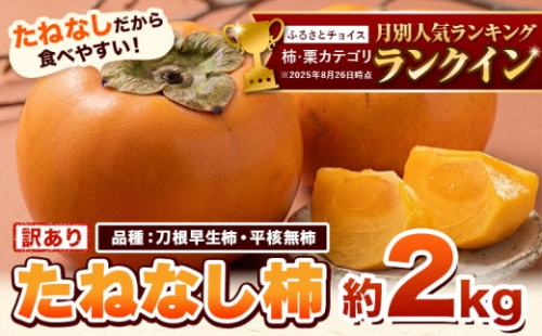 たねなし柿（刀根早生柿・平核無柿）約2kg 《9月中旬-11月上旬頃出荷(土日祝除く)》 和歌山県 岩出市 訳あり ご家庭用 種なし柿 柿 果物 フルーツ カキ 訳あり 2140078 - 和歌山県岩出市