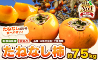 和歌山県産 訳あり たねなし柿（刀根早生柿・平核無柿）約7.5kg 《2025年9月中旬-11月上旬頃出荷(土日祝除く)》 和歌山県 岩出市 訳あり ご家庭用 種なし柿 柿 果物 フルーツ カキ