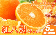 紅八朔(ポッポ) 5kg(3L〜L)JAわかやま 紀の里地域本部[3月中旬-4月中旬頃出荷予定(土日祝除く)]和歌山県 岩出市 産地直送 みかん 八朔 柑橘 果物 フルーツ ビタミンC たっぷり