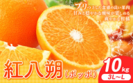 紅八朔(ポッポ)10kg(3L〜L)JAわかやま 紀の里地域本部[3月中旬-4月中旬に出荷予定(土日祝除く)]和歌山県 岩出市 産地直送 みかん 八朔 柑橘 果物 フルーツ ビタミンC たっぷり