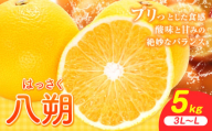 八朔 5kg(3L〜L)JAわかやま 紀の里地域本部[1月上旬-4月中旬に出荷予定(土日祝除く)]和歌山県 岩出市 産地直送 みかん 八朔 柑橘 果物 フルーツ ビタミンC たっぷり