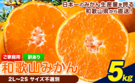 [先行予約][訳あり/サイズ不選別] 和歌山みかん 約5kg 和歌山県産 [2025年11月中旬-1月中旬頃出荷]たっぷり ご家庭用 2L〜2S 産地直送 みかん 旬 蜜柑 ミカン 柑橘 果物 フルーツ 和歌山県 岩出市