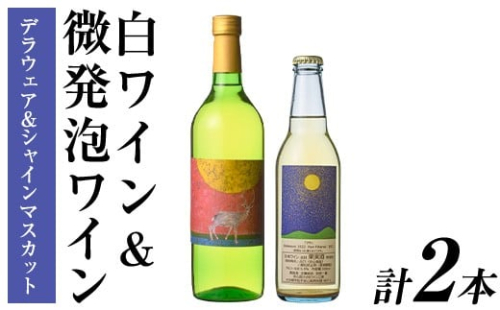 白ワイン ＆ 微発泡デラウェア＆シャインマスカット(合計1.05L・2本)ワイン 白ワイン 酒 お酒 甘口 甘口ワイン アルコール 微発泡 デラウェア ぶどう 葡萄 安心院産 飲み比べ セット【100800801】【百笑一喜】 214026 - 大分県宇佐市