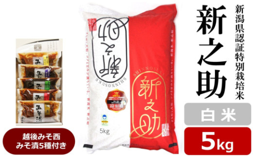 【令和8年産新米】新之助 白米 5kg 新潟県認証特別栽培米 ＆ 越後みそ西みそ漬5種セット [Y0519] 2140355 - 新潟県柏崎市