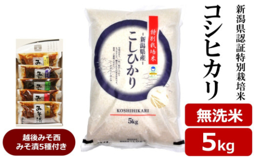 【令和8年産新米】コシヒカリ 無洗米 5kg 新潟県認証特別栽培米 ＆ 越後みそ西みそ漬5種セット [Y0522] 2140356 - 新潟県柏崎市