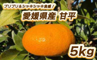 [先行予約]プリプリ&シャキシャキ食感!甘平 5kg [2月中旬〜3月中旬発送] 柑橘 果物 フルーツ みかん 甘平 松山市 愛媛県