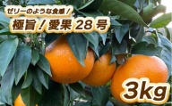[先行予約]極旨!愛果28号 3kg [1月中旬〜2月中旬発送] 柑橘 果物 フルーツ あいか 愛果28号 みかん 松山市 愛媛県