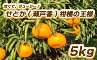 [先行予約]せとか(瀬戸香)柑橘の王様 5kg [2月中旬〜3月中旬発送] 柑橘 果物 フルーツ せとか みかん 松山市 愛媛県