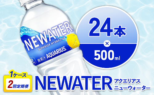 【2回定期便】アクエリアス ニューウォーター 500ml PET【コカ・コーラ】ペットボトル 1ケース(24本) 定期便 2回(48本) セット スポーツドリンク スポドリ カロリーゼロ 熱中症対策 水分補給 清涼飲料水 宮崎県 えびの市 送料無料 2140481 - 宮崎県えびの市