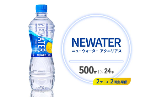 【2回定期便】アクエリアス ニューウォーター 500ml PET【コカ・コーラ】ペットボトル 2ケース(48本) 定期便 2回(96本) セット スポーツドリンク スポドリ カロリーゼロ 熱中症対策 水分補給 清涼飲料水 宮崎県 えびの市 送料無料 2140484 - 宮崎県えびの市