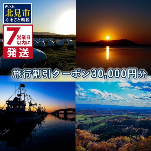 《7営業日以内に発送》【北海道北見市】旅行割引クーポン30,000円分 ( 旅行 観光 温泉 宿泊 チケット )【194-0003】 2140489 - 北海道北見市