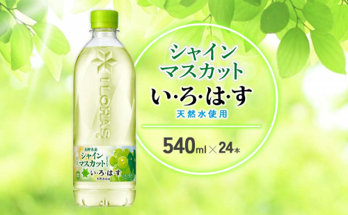 水 いろはす シャインマスカット 天然水 540ml(500ml + 40ml)PET【コカ・コーラ】ペットボトル 1箱(24本)ブドウ ナチュラルミネラルウォーター フレーバードリンク カロリー控えめ 飲料水 飲料 常温 備蓄 ストック ローリングストック アウトドア キャンプ 人気 おすすめ ギフト 国産 九州 宮崎県 えびの市 送料無料 2140502 - 宮崎県えびの市