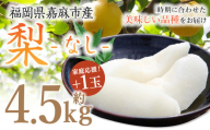 【家庭応援】 梨 4.5kg+1玉 【2025年8月上旬-12月上旬発送予定】 ナシ フルーツ くだもの 福岡県 嘉麻市