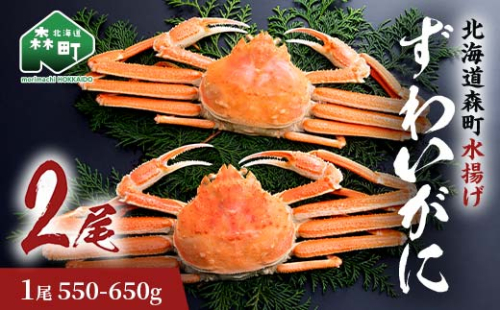 ずわいがに（550g～650g） 2尾入り 北海道森町水揚げ かに カニ 蟹 ガニ がに 森町 ふるさと納税 北海道 ずわいかに ズワイガニ mr1-0921 2140551 - 北海道森町