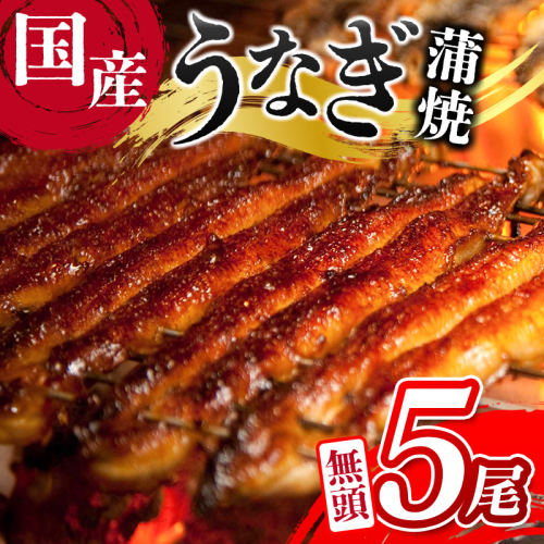 ＜ご家庭用＞うなぎ 鰻楽 国産 蒲焼 5尾 計650g以上（130g×5尾）おすすめ 冷凍 簡単調理 個包装 鰻 魚介【D144】 2140625 - 宮崎県新富町