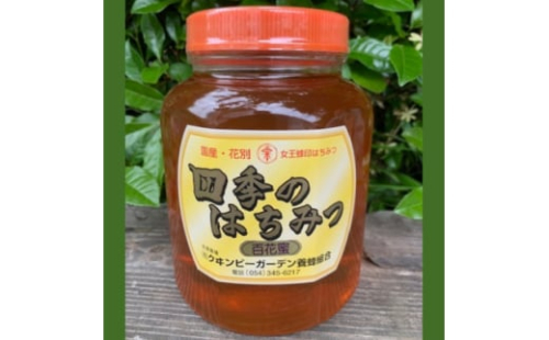国産天然ハチミツ　2kg【1622834】 2140837 - 北海道大樹町
