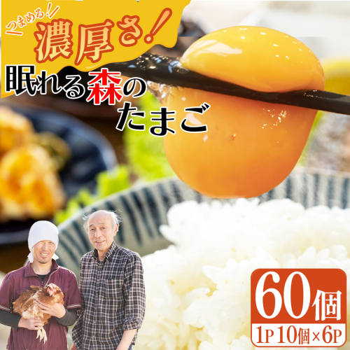 眠れる森のたまご 朝採れ卵60個 たまご タマゴ 卵 鶏卵 濃厚 こだわり 新鮮 【04301-0792】 2141037 - 宮城県蔵王町
