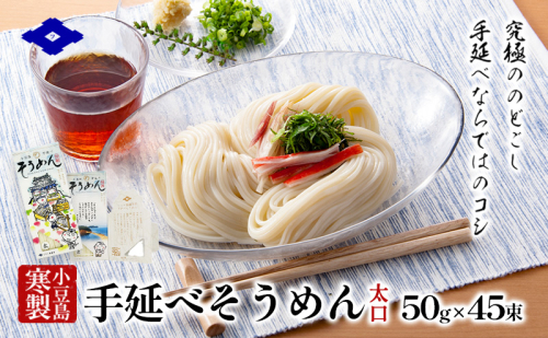 小豆島 手延べそうめん 【太口】5束入り×9箱　手延べ そうめん 素麺 麺 細うどん 箱詰め 贈り物 プレゼント お手渡し ギフト のどごし コシ 小豆島 土庄町 2141047 - 香川県土庄町